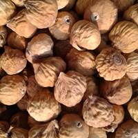 انجیر سفید عمده